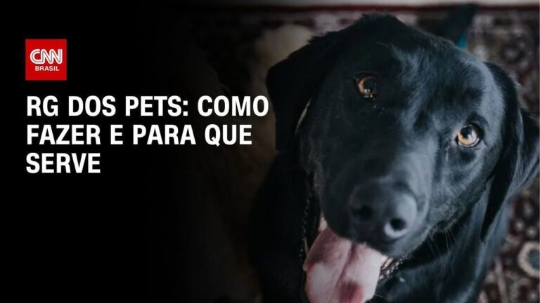 dia-das-maes:-afinal,-mae-de-pet-e-mae-ou-nao?