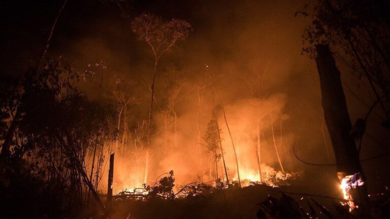 desmatamento-na-amazonia-cresce-4%-com-influencia-de-queimadas