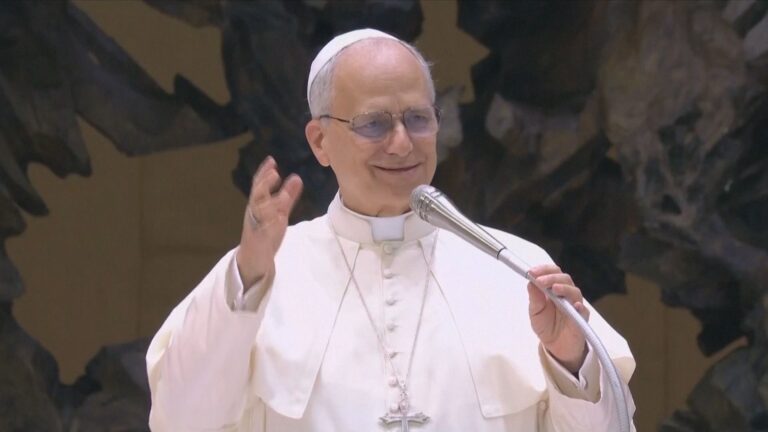 calor-faz-papa-leao-xiv-realizar-audiencia-semanal-dentro-de-basilica